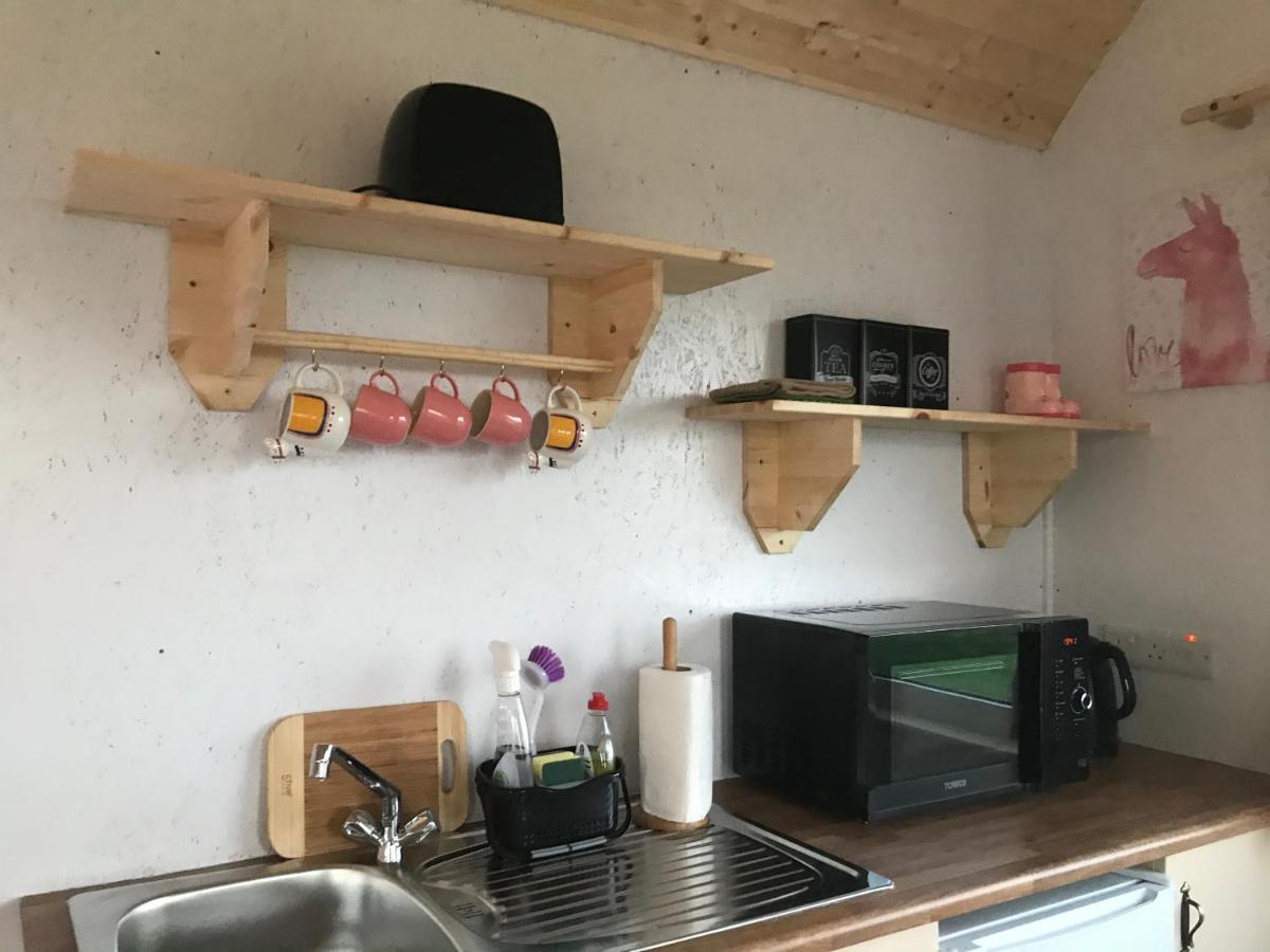 The Beautiful Lazy Llama Shepherd Hut Farm Stay Ballyshannon Zewnętrze zdjęcie