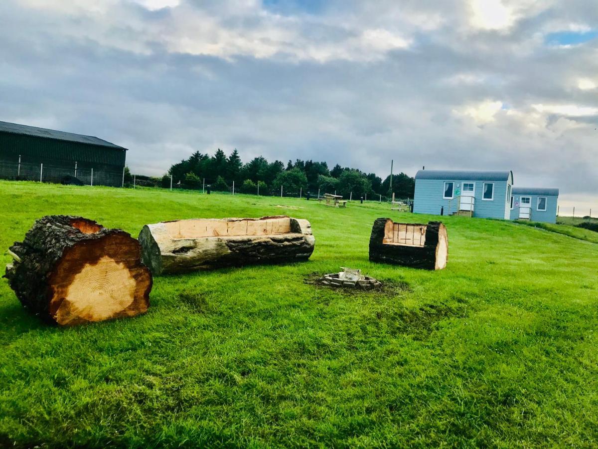 The Beautiful Lazy Llama Shepherd Hut Farm Stay Ballyshannon Zewnętrze zdjęcie