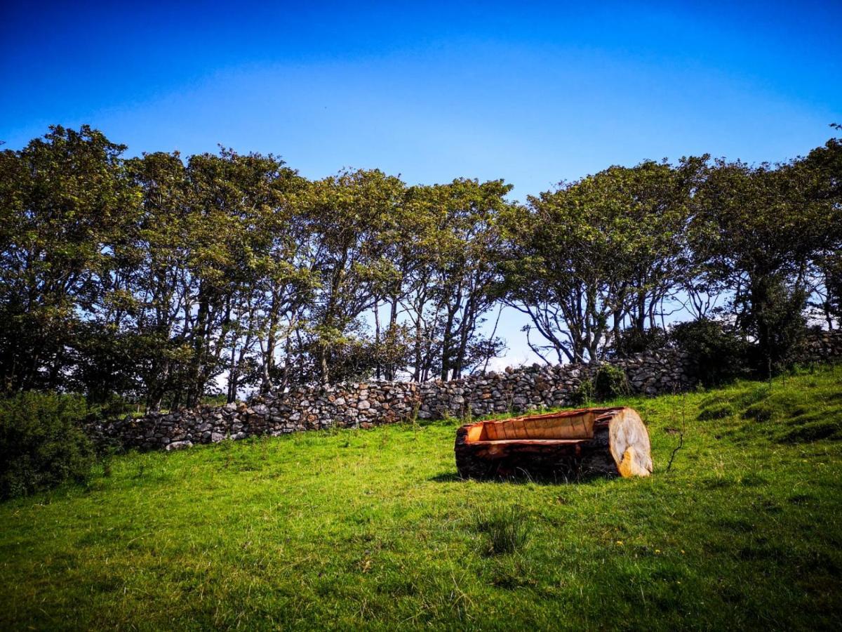 The Beautiful Lazy Llama Shepherd Hut Farm Stay Ballyshannon Zewnętrze zdjęcie