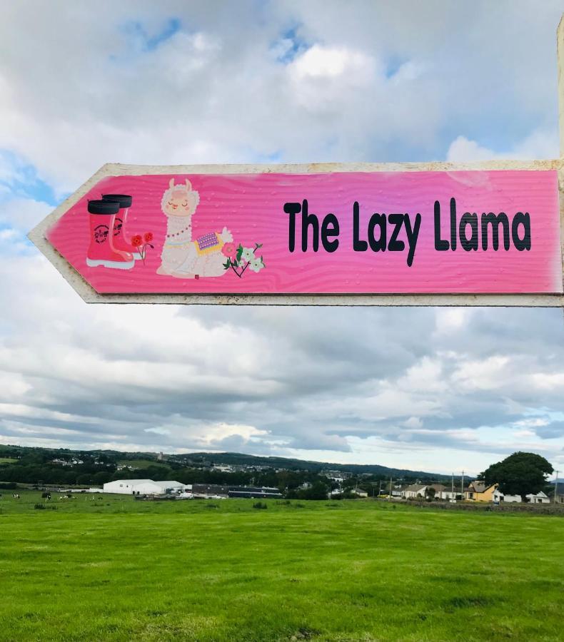 The Beautiful Lazy Llama Shepherd Hut Farm Stay Ballyshannon Zewnętrze zdjęcie