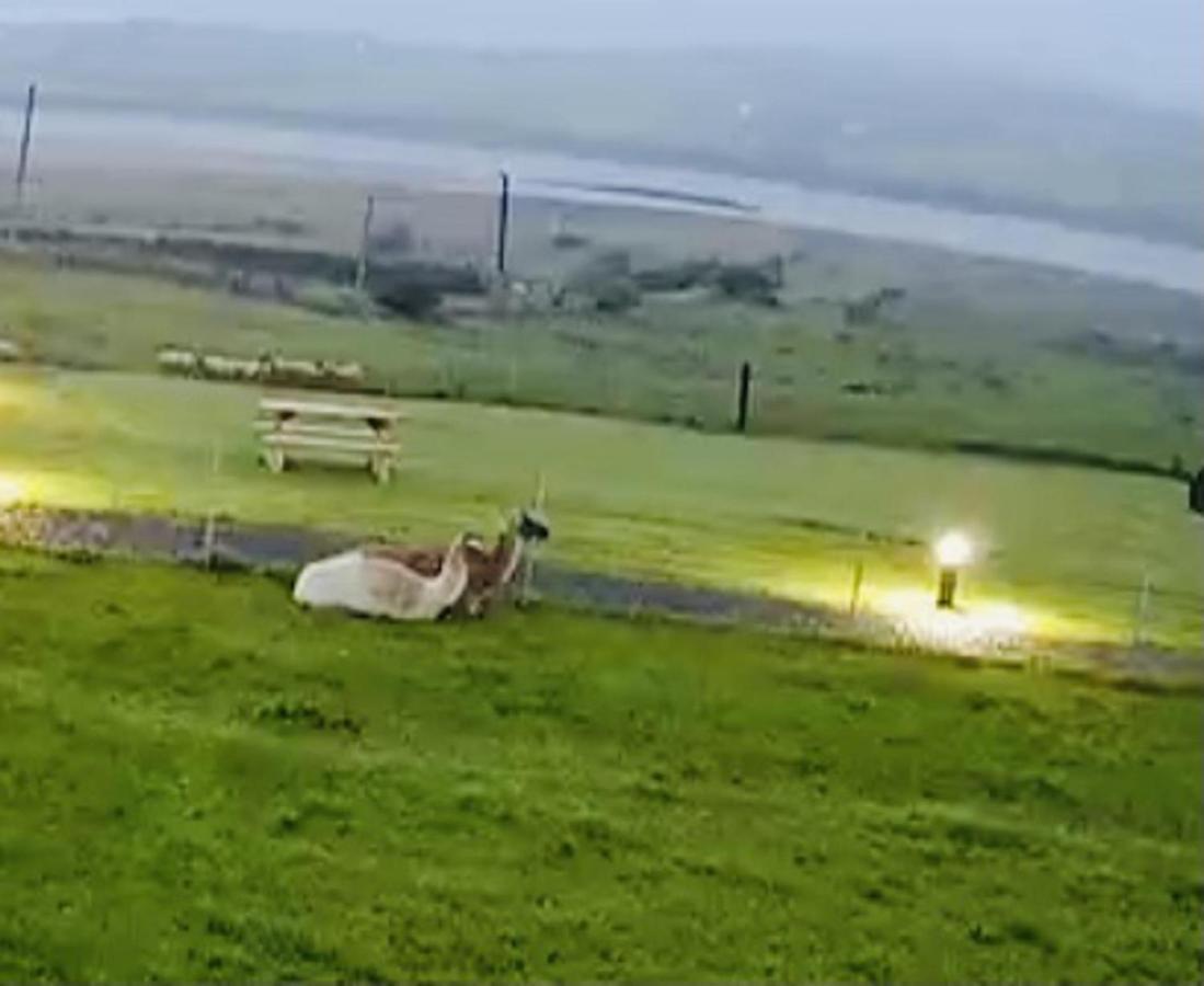 The Beautiful Lazy Llama Shepherd Hut Farm Stay Ballyshannon Zewnętrze zdjęcie