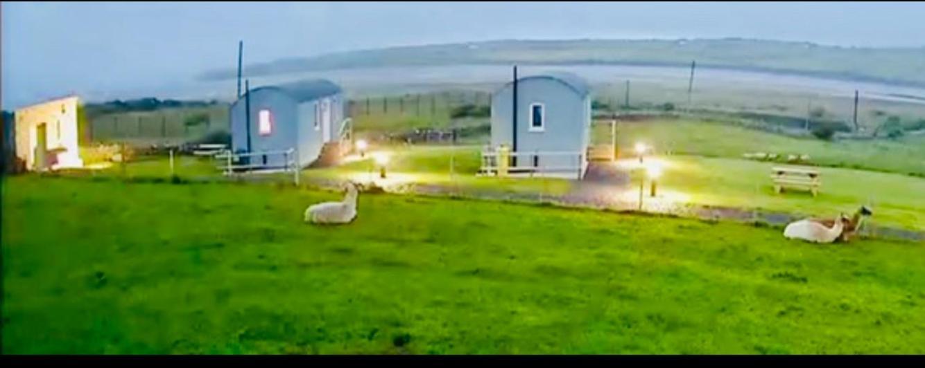 The Beautiful Lazy Llama Shepherd Hut Farm Stay Ballyshannon Zewnętrze zdjęcie