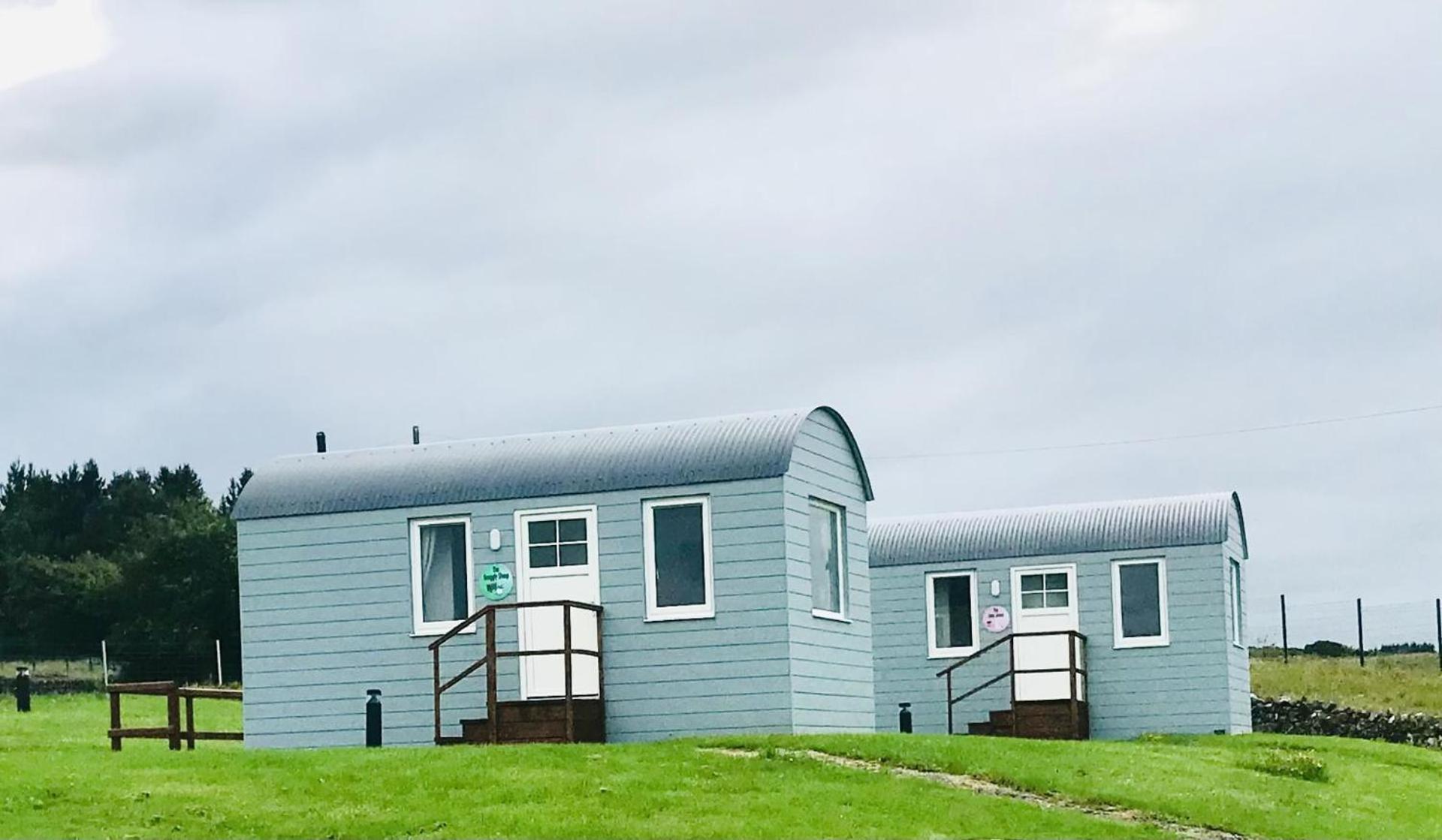 The Beautiful Lazy Llama Shepherd Hut Farm Stay Ballyshannon Zewnętrze zdjęcie